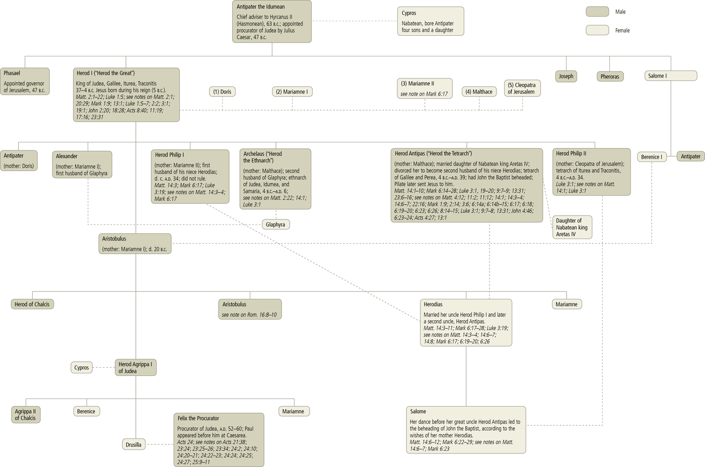 The Herodian Dynasty